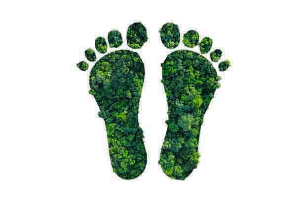 Streaming sustainability requires holistic shift beyond green physical production alone