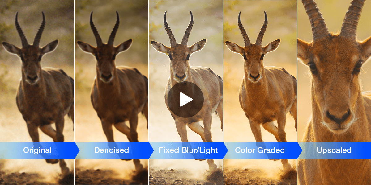 AI video enhancement market shifts as dedicated tools challenge editing suites