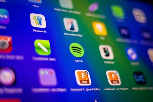 Ovata Capital raises Spotify and Ryanair stakes on recovery bets