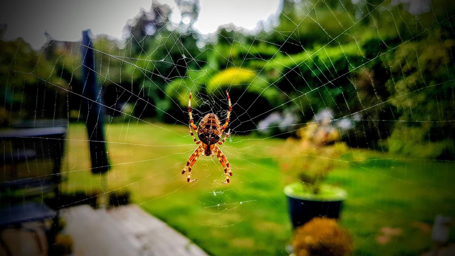 Northwestern’s Spider-Inspired 3D Camera Curbs Machine Vision Power Drain