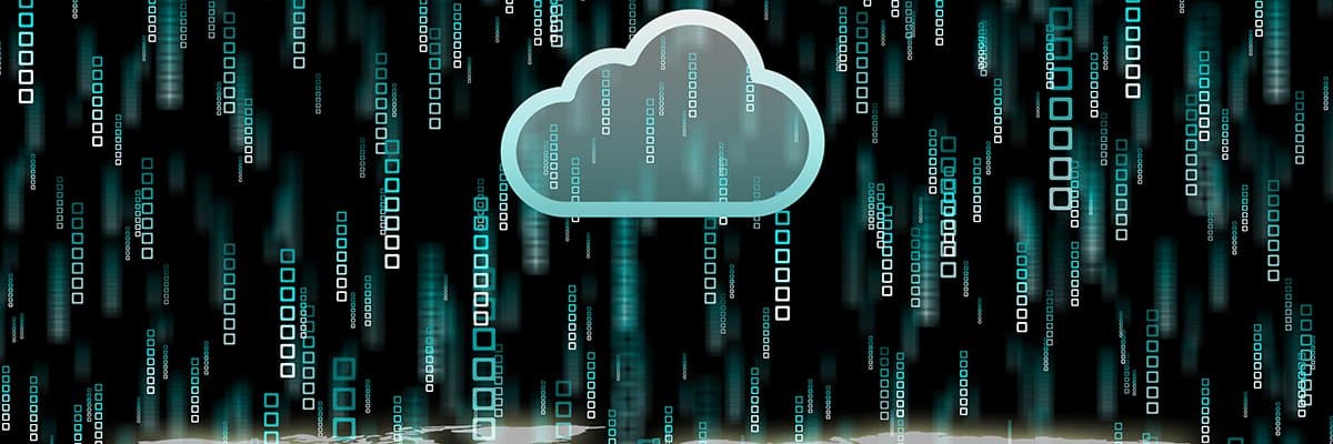 Neoclouds leverage specialized dual-network fabrics to lower AI processing costs